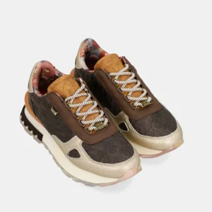 Deportivo Anekke London Burgundy